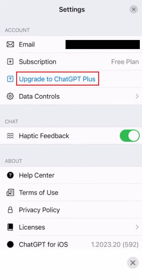 chatgpt ios settings