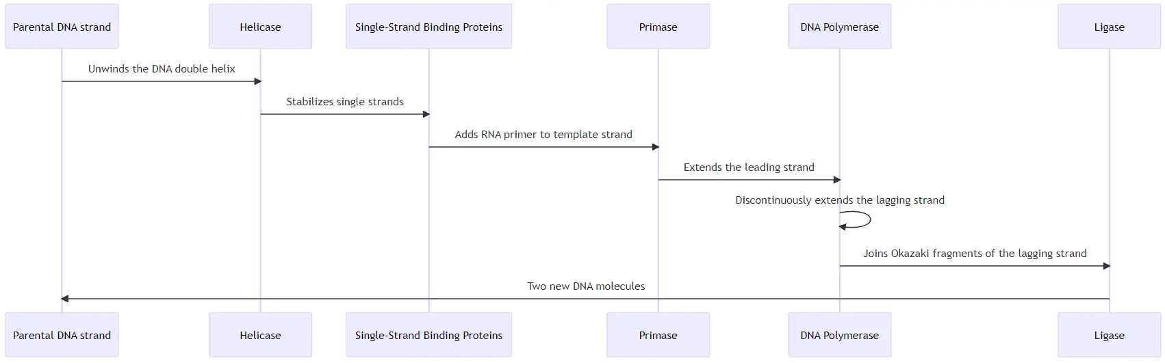 generated diagram of dna replication with chatgpt plugin show me diagrams