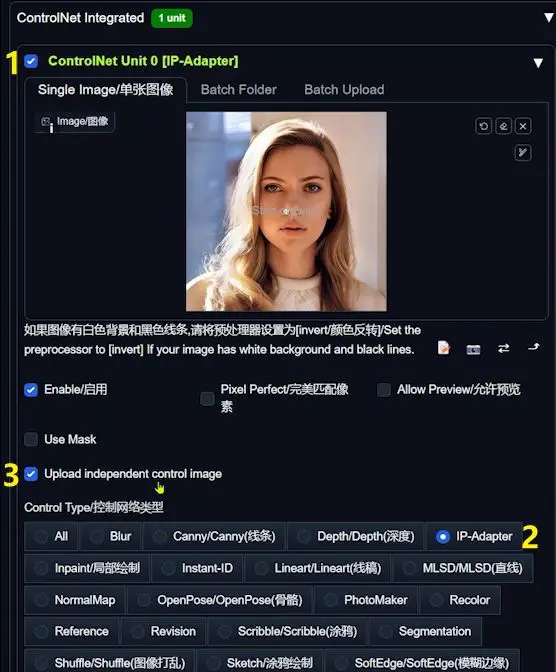 webui forge controlnet ip-adapter 1